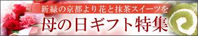 京都宇治の老舗 【伊藤久右衛門】　母の日特集