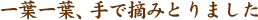 ���հ��ա����Ŧ�ߤȤ�ޤ���