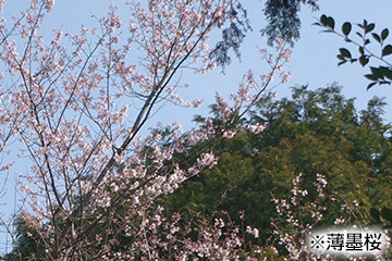 tuu_352_004