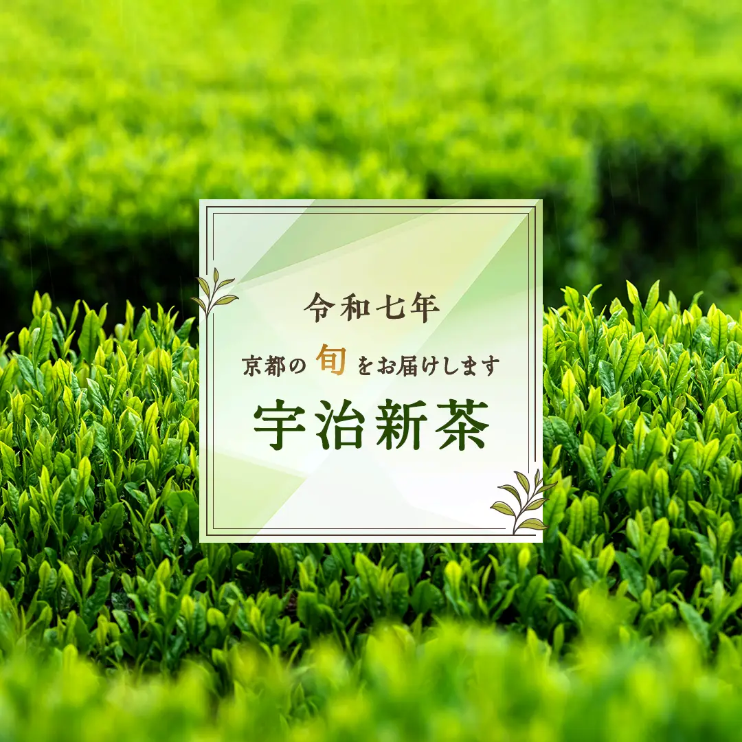 京都の旬をお届けします 令和七年度産宇治新茶