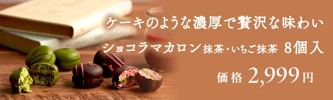 ショコラマカロン8個入