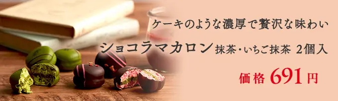 ショコラマカロン2個入