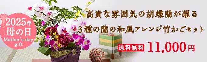 胡蝶蘭アレンジメント竹かごセット