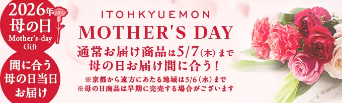 通常お届け間に合う！お母さんを笑顔にする母の日スイーツギフト