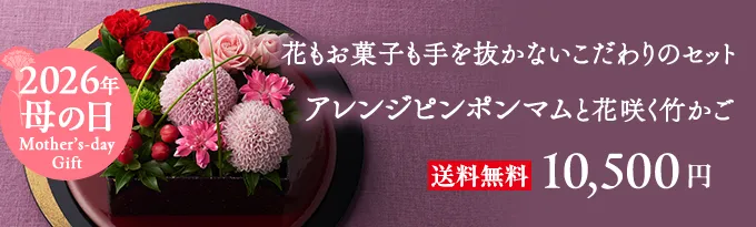 ピンポンマムアレンジと花咲く竹かごセット