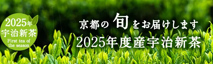 2025年度産宇治新茶
