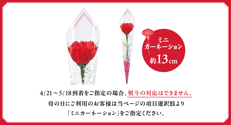 母の日ミニカーネーション対応