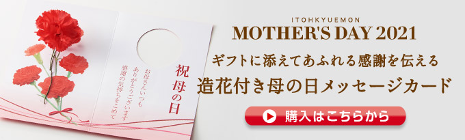 母の日 抹茶スイーツ竹かごセット21 早割 送料無料 母の日ギフト21 母の日限定 季節限定 数量限定 花のカーネーション包装 和菓子 洋菓子 プリン カステラ さくらんぼゼリー 母の日におすすめ プレゼント Smd 伊藤久右衛門 公式オンライン 母の日 抹茶スイーツ竹かごセット21 早割 送料無料 母の日ギフト21 母の日限定 季節限定 数量限定 花のカーネーション包装 和菓子 洋菓子 プリン カステラ さくらんぼゼリー 母の日におすすめ プレゼント Smd 伊藤久右衛門 公式オンライン