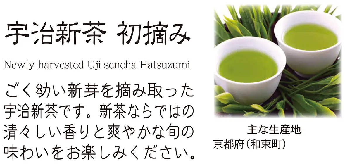 宇治新茶 初摘み