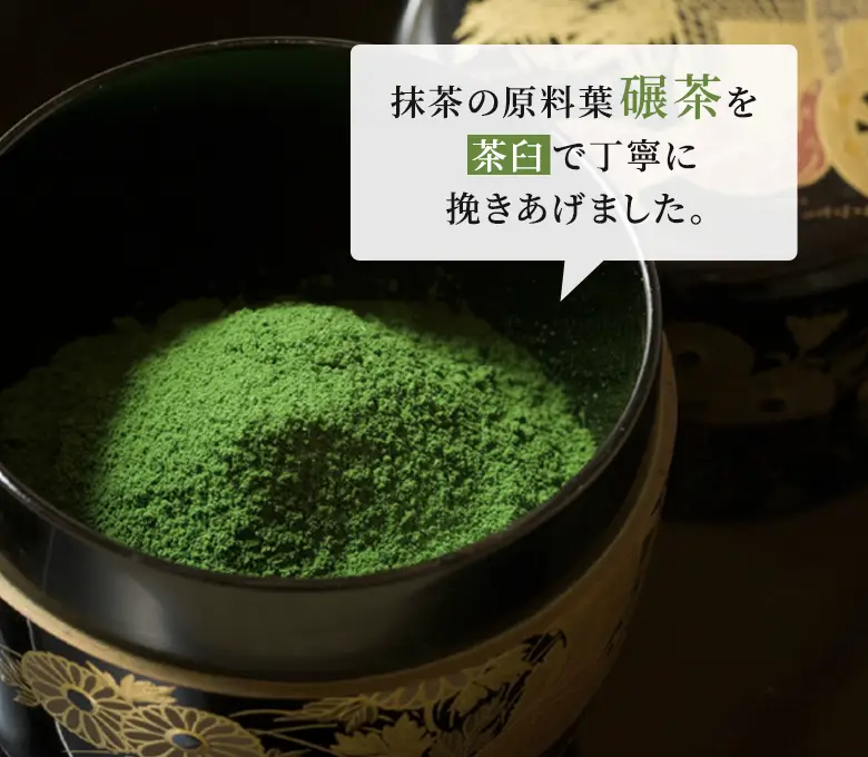 宇治抹茶 清寿の森 粉末 20g缶入 § せいじゅのもり セレモニアル