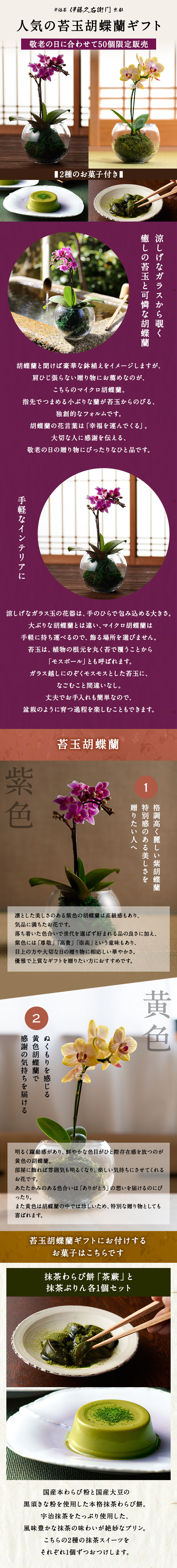 苔玉胡蝶蘭と抹茶わらび餅と抹茶プリンのセット E 送料無料 他商品との同梱不可 敬老の日の贈り物 敬老の日ギフト 数量限定 期間限定 2色から選べる 蘭 マイクロ胡蝶蘭 紫色 黄色 スイーツ ぷりん フラワー 伊藤久右衛門 公式オンラインショップ