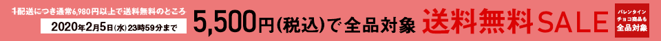 3,999円送料無料