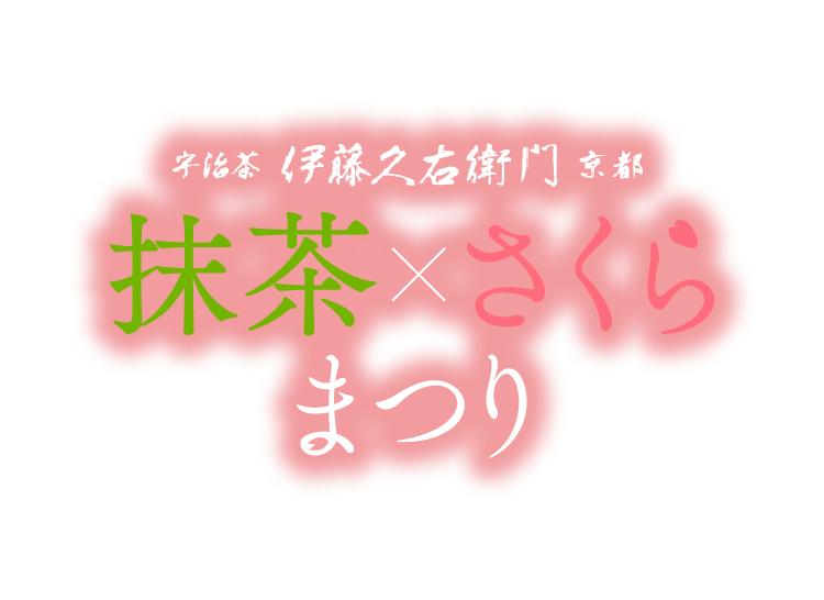 抹茶 さくらまつり21 伊藤久右衛門