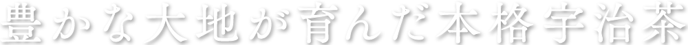 豊かな大地が育んだ本格宇治茶