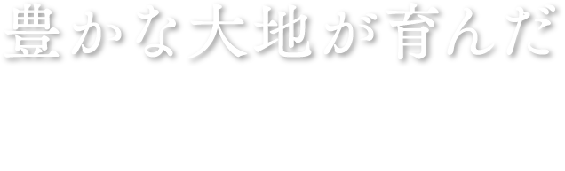 豊かな大地が育んだ本格宇治茶